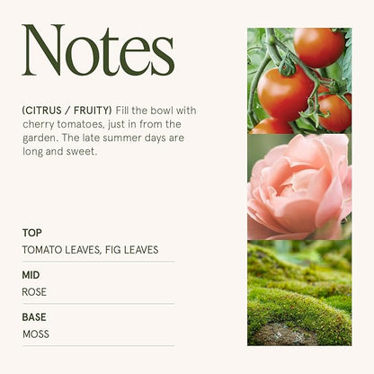 LA JOLIE MUSE Tomato & Vine Candle - Tomato Leaf, Rose, Moss | 12 oz Large 2-Wick Soy Wax Candle | 60 Hours Clean Burn | Fresh Garden Scented Candle | Gift-Ready for Hosts & Gatherings