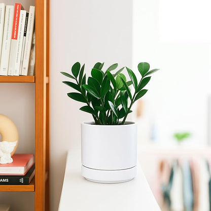 D'vine Dev 4.7 Inch & 6.5 Inch Ceramic Planter Pots for Plants with Drainage Hole and Saucer, Small Plant Pots Set, White, 94-G-S-1