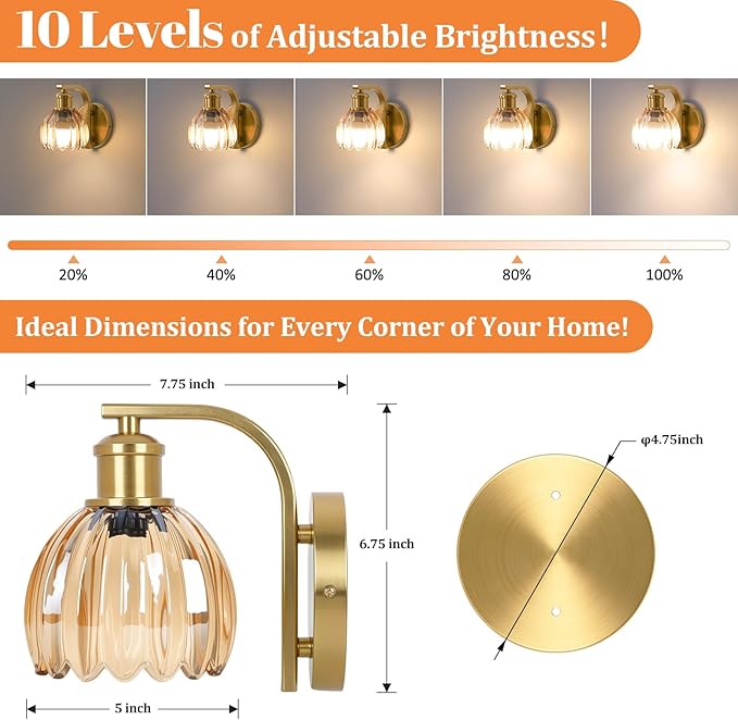 VerRon Rechargeable Battery Operated Wall Sconce Set of Two with Amber Glass Lampshade, Wireless Wall Scone Decor with Remote Control, 15 Colors Gold Wall Light for Bedside Hallway Bedroom Doorway