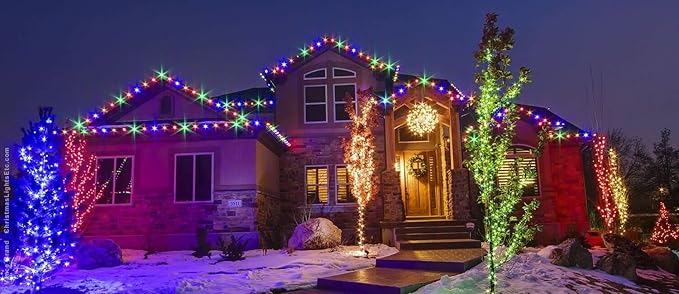 WYZworks 1116LEDs 100ft LED Outside Rope Lights, Outdoor ETL Certified Waterproof Permanent 360 Degree Light Emitting, Flexible Tube, Connectable, Christmas Palm Tree Exterior Landscape, Colorful