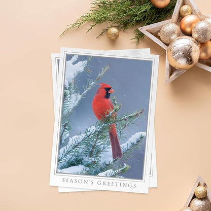 Masterpiece Let Nature Sing Cardinal Christmas Cards / 16 Boxed Holiday Seasons Greetings Card Set With Silver Foil Accents And Coordinating Envelopes / 5 5/8" x 7 7/8" Folded Winter Greeting Cards