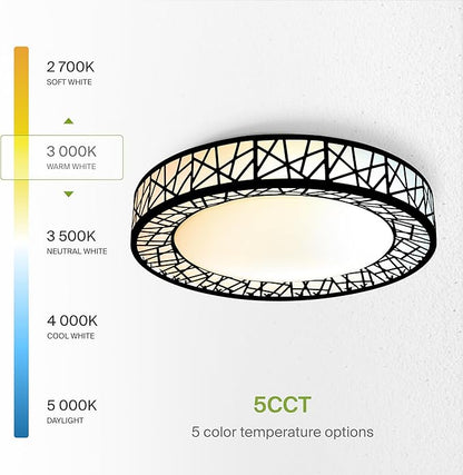 ASD 14 Inch LED Flush Mount Ceiling Light Fixture for Bedroom, 24W 1534LM 5CCT 2700K-5000K, Triac Dimmable Lights, Dining, Living Room, Kitchen Lamps, Modern Home Lighting Fixtures, Black, ETL