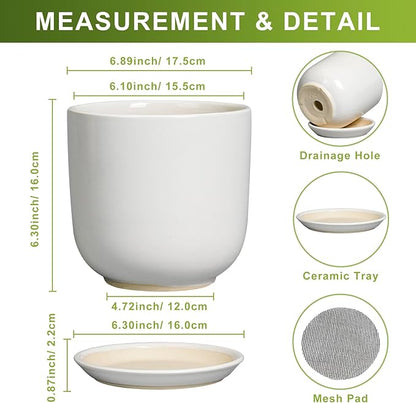 Ceramic Pot for Plants 7 Inch - Modern Round Indoor Outdoor Planter with Drainage Hole and Saucer, Home House Office Room Decor, White