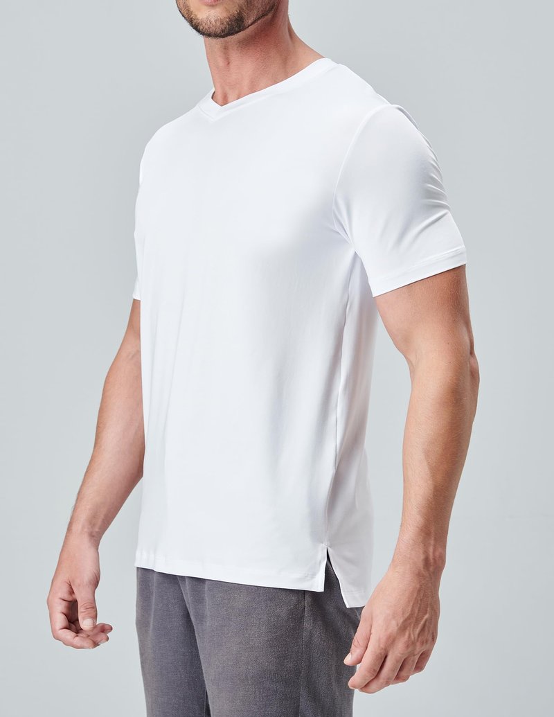5 Pack Mens V-Neck Dry Fit T-Shirts, Active Athletic Short Sleeve Workout Tops, Performance Gym Tees, Available in Plus Size (Set 4, Medium)