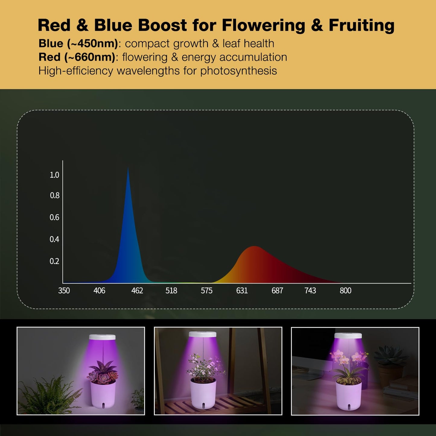 Raygrov Self-Watering Planter with Grow Light — Cute Desk Plant Pot for Office, Bedroom & Window — No Green Thumb Needed, 2-in-1 Wall + Desktop, USB Powered (5W LED, White)