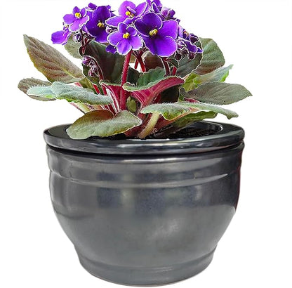 African Violet Pots Self Watering Round Ceramic Violet Pot (Gray, 6 inch)
