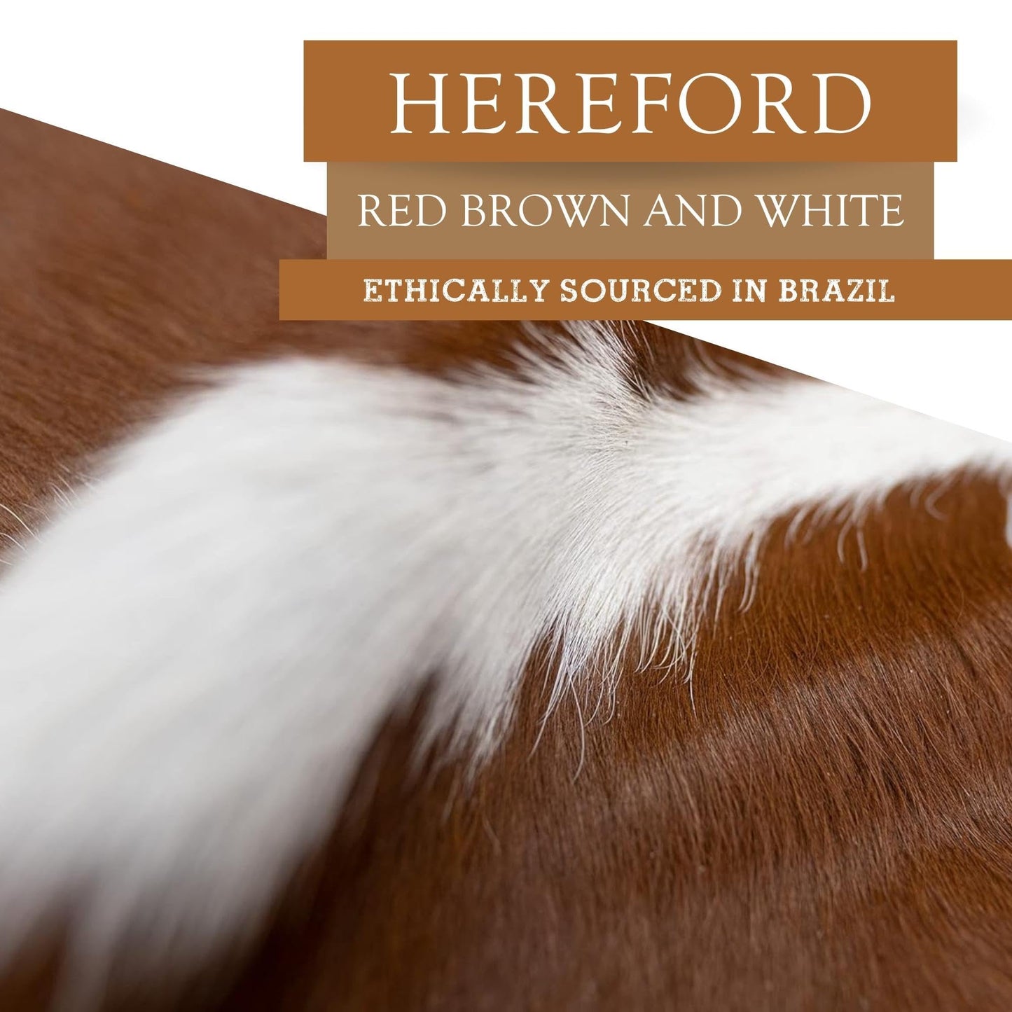 Sunshine Cowhides 100% Genuine Hereford Red Brown and White Cowhide Rug - Modern Style Animal Skin Rug & Floor Carpet for Living Room, Bedroom, Kitchen & More - Extra Large (6x7-8 Ft.)