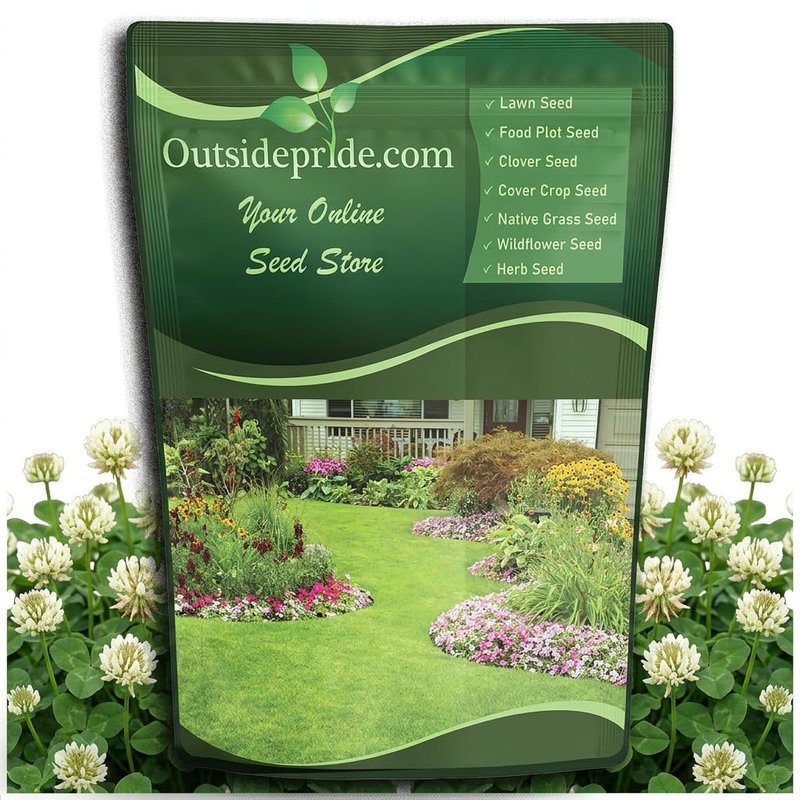 Outsidepride Perennial White Dutch Clover Seed - 40 lbs. Nitrocoated, Inoculated for Lawn Alternative, Erosion Control, Food Plots, Ground Cover, & Pasture Mixtures in USDA Zones 3-10