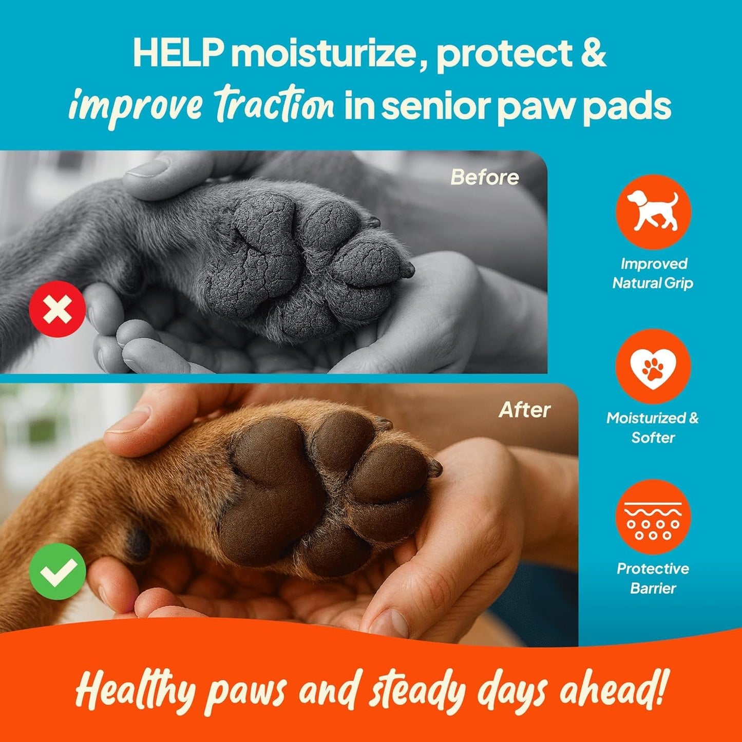 Steady Paws 3-in-1 Paw Balm for Dogs - Protects & Improves Natural Dog Foot Pad Traction, Lick-Safe Moisturizer & Soother, Fast-Absorbing Paw Wax w/Non-Greasy Formula & Natural Ingredients - 1.69oz