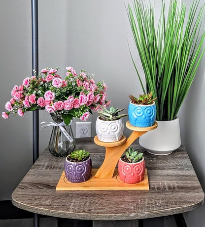 Blisse Wood Owl Planter (Blue)