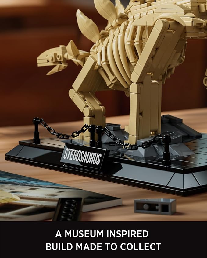 Nifeliz Stegosaurus Fossils Model Set Dinosaur Skeleton Building Set with Display Base for Adults Ideal Gift for Enthusiasts and Collectors (665 PCS NF10353)