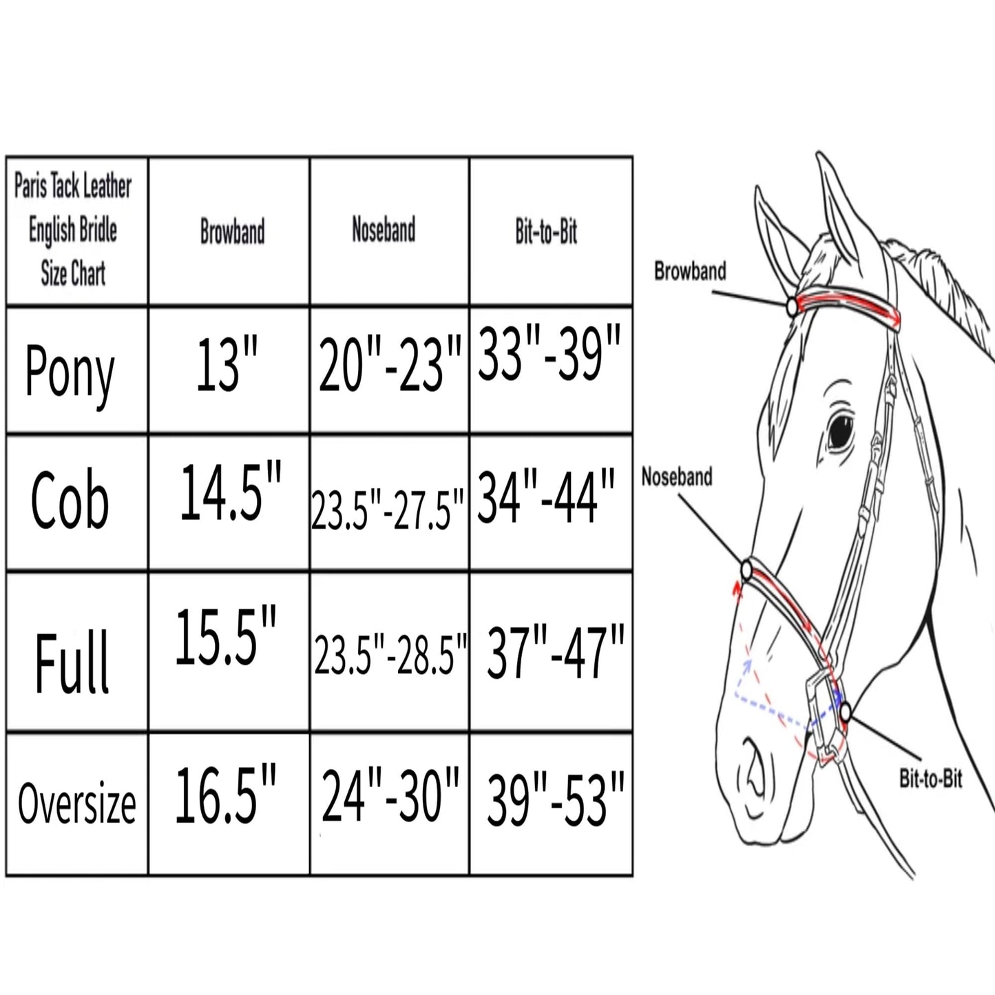Paris Tack Everyday Raised Fancy Stitched Leather English Schooling Bridle with Laced Reins
