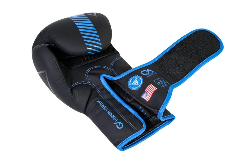 CO2 Sports Titan Boxing Gloves, Pro Training Sparring, Maya Hide Leather, Muay Thai MMA Kickboxing, Men Women Adult, Focus Mitts, Ventilated Palm, Multi Layered, 8 10 12 14 16 18 Oz (Blue, 16 OZ)