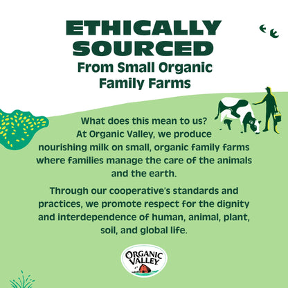 Organic Valley Alpine Style Organic Baby Swiss Cheese Slices