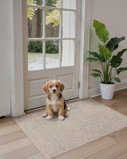 DEXI Ultra Thin Door Mat Indoor Entrance 48x72, Non Slip Rubber Backed Entryway Mats Dirt Trapper, Low Profile Front Doormat for Inside Entry, Patio, Porch, Beige