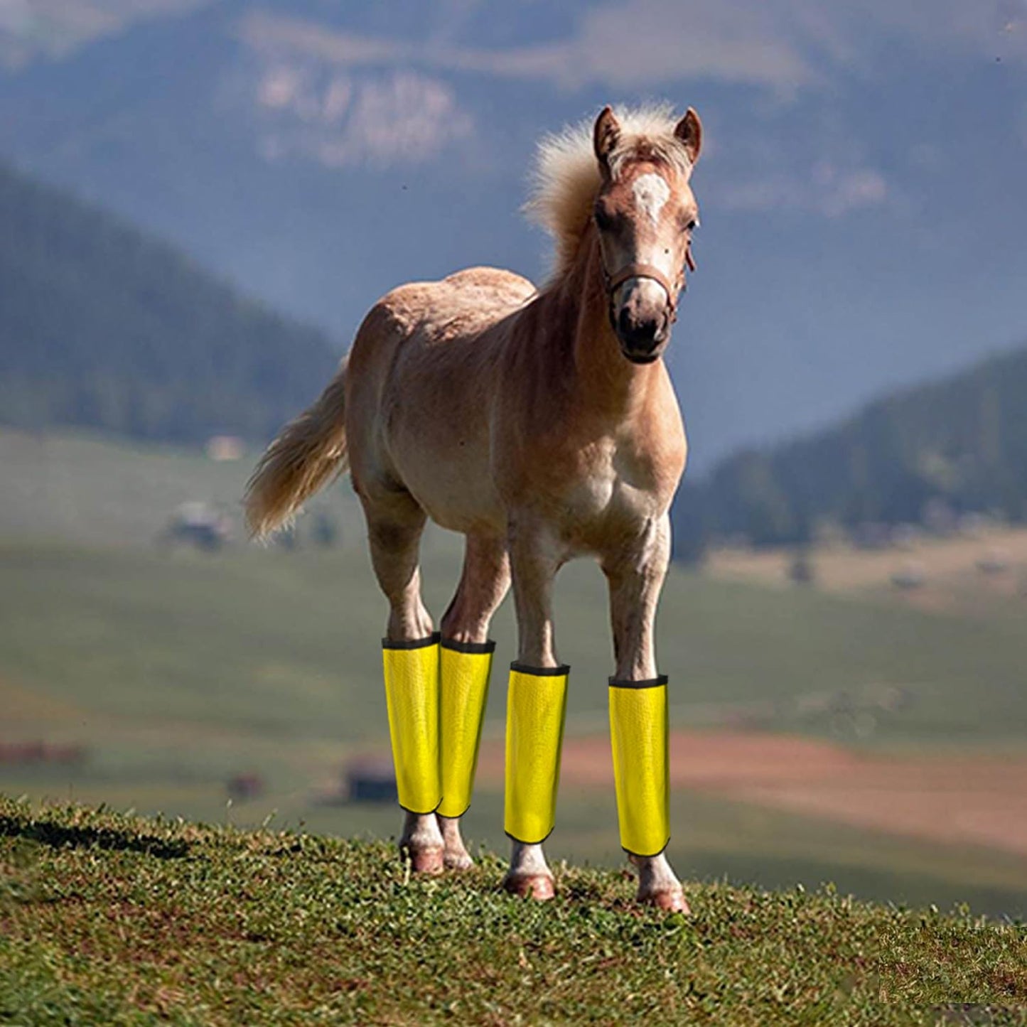 NizHome Horse Fly Boots, Fly Boots for Horses Set of 4, Breathable Mesh Horse Leggins Reduce Stomping & Foot Fatique Pet Supplies (4 Pack/Yellow)