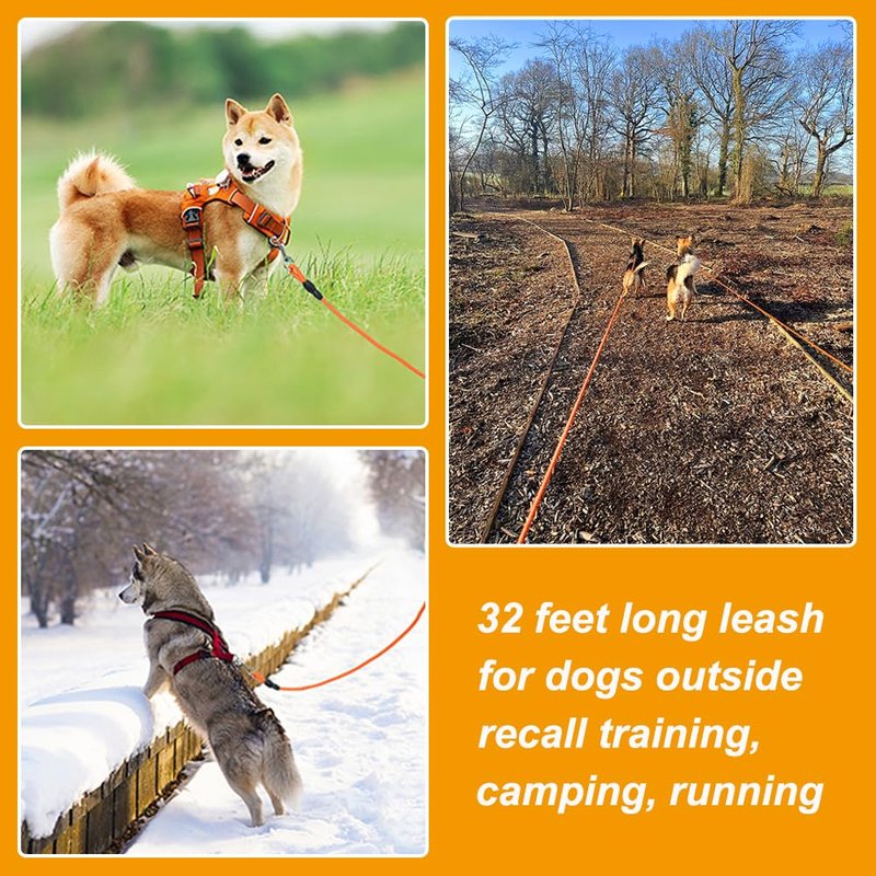 Vivifying Floating Long Dog Leash, 32FT Long Leash for Dog Training, Lightweight Check Cord for Outdoor, Hiking, Swimming, Beach and Lake