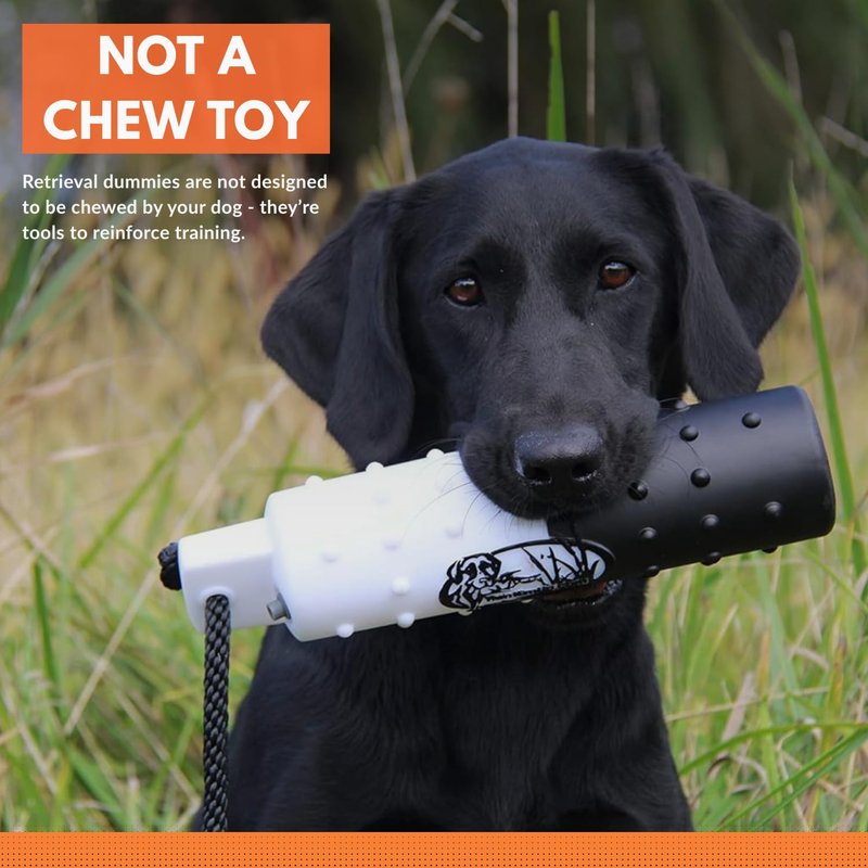 HuntEmUp 3" Canvas Dog Training Bumper – Retrieving Dummy for Retriever & Hunting Dog Training – Floating Water Dummy with Throw Rope – Mixed (6 Pack)