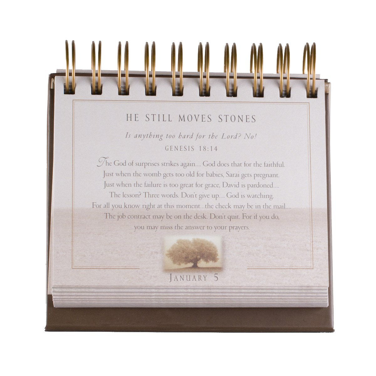 DaySpring - Max Lucado - Grace For The Moment: Inspirational Thoughts for Each Day of the Year - Perpetual Calendar (16755)