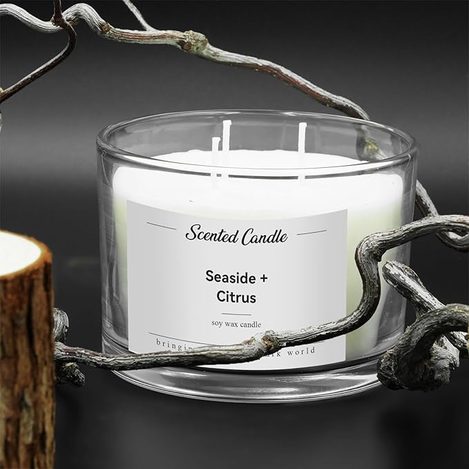 Premium 3-Wick Scented Candle 420g, Jar Aromatherapy Candle Birthday Gifts for Men and Women, Long Lasting 50H, Soy Wax Natural Essential Oil Blend for Home Office Spa (Seaside+Citrus)