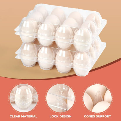 YIFIHGE 60 Pack Egg Cartons Cheap Bulk 1 Dozen Jumbo Egg Cartons Extra Large Duck Egg Holders with Sticker Labels Clear Empty Plastic Egg Containers for Home Ranch Farm Commercial Market Display