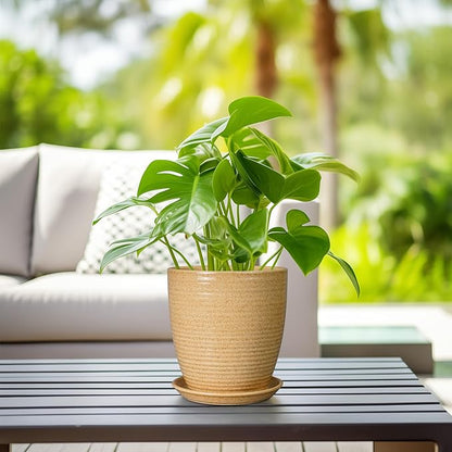 Pot for Plants 8 Inch - Ceramic Planter Indoor Plant Pot with Drainage Hole and Saucer Planter for Outdoor Plants Round Flower Pot for Home Patio Garden Office Decor Yellow