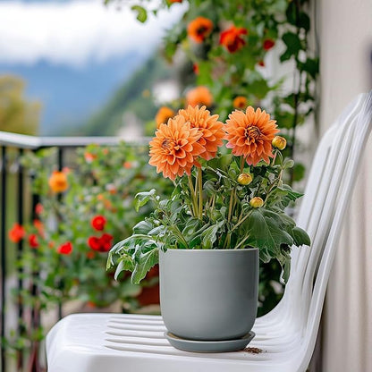 Ceramic Plant Pot 5 Inch - Modern Succulent Planter for Outdoor Indoor Plants with Drainage Hole and Saucer, Modern Home Decor, Gray