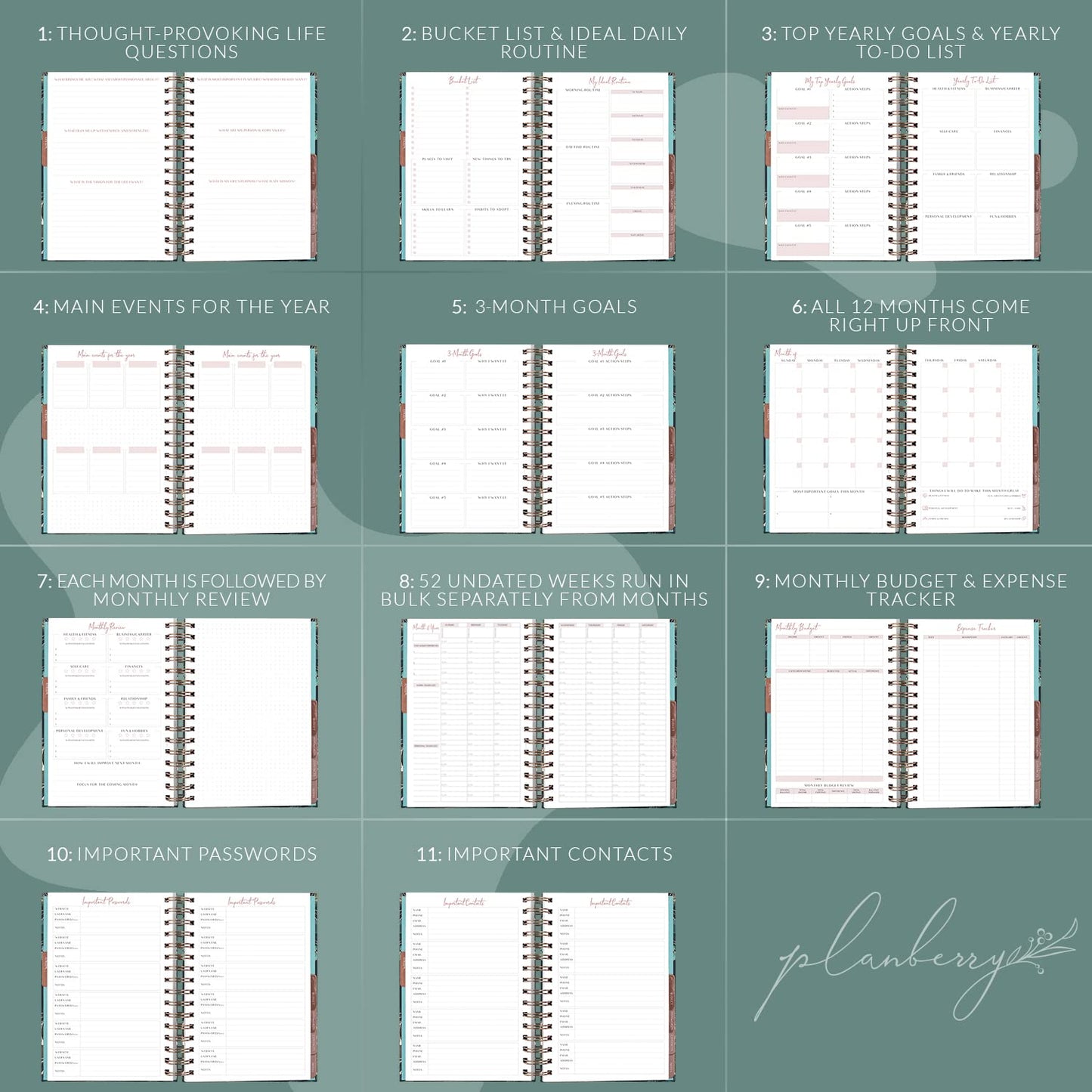 PLANBERRY Hourly Schedule Planner Premium – Undated Weekly Organizer with Time Slots & Monthly Budget – Time Management, Goal Setting, to-Do List & Habit Tracker –6.9″x8.5″(Green Pastures)