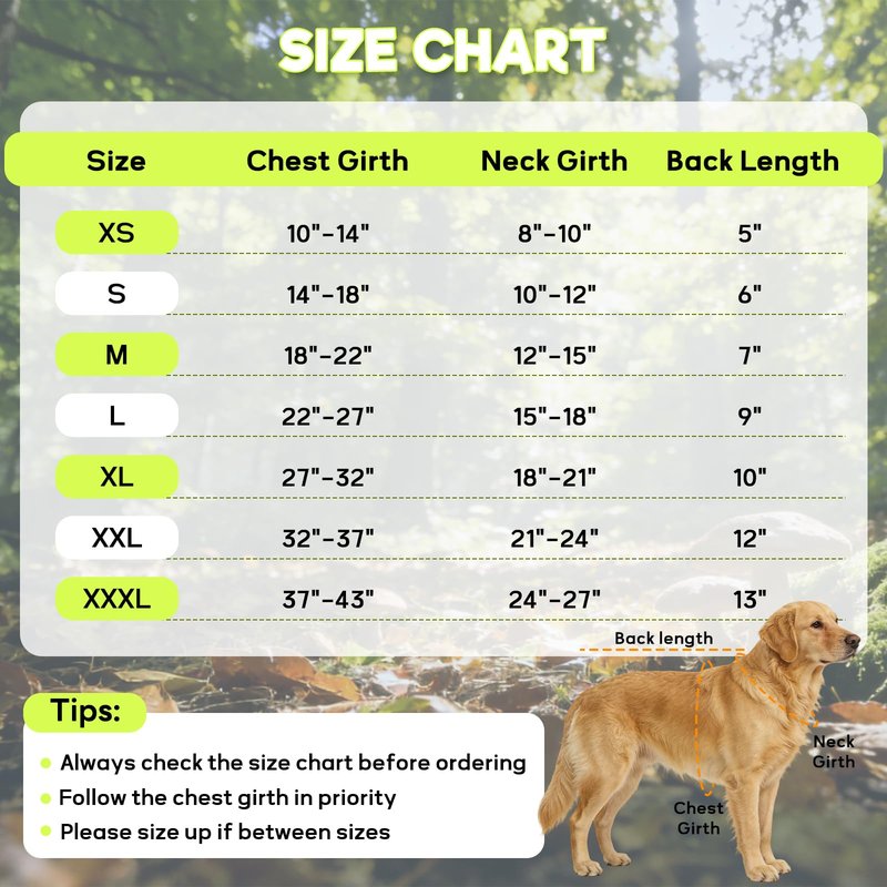 DENTRUN Dog Reflective Vest, High Visibility Safety Vest for Small Medium Large Dogs, Easy-On Adjustable Reflective Jacket for Outdoor Hunting Night Walking Jogging, Bright Green