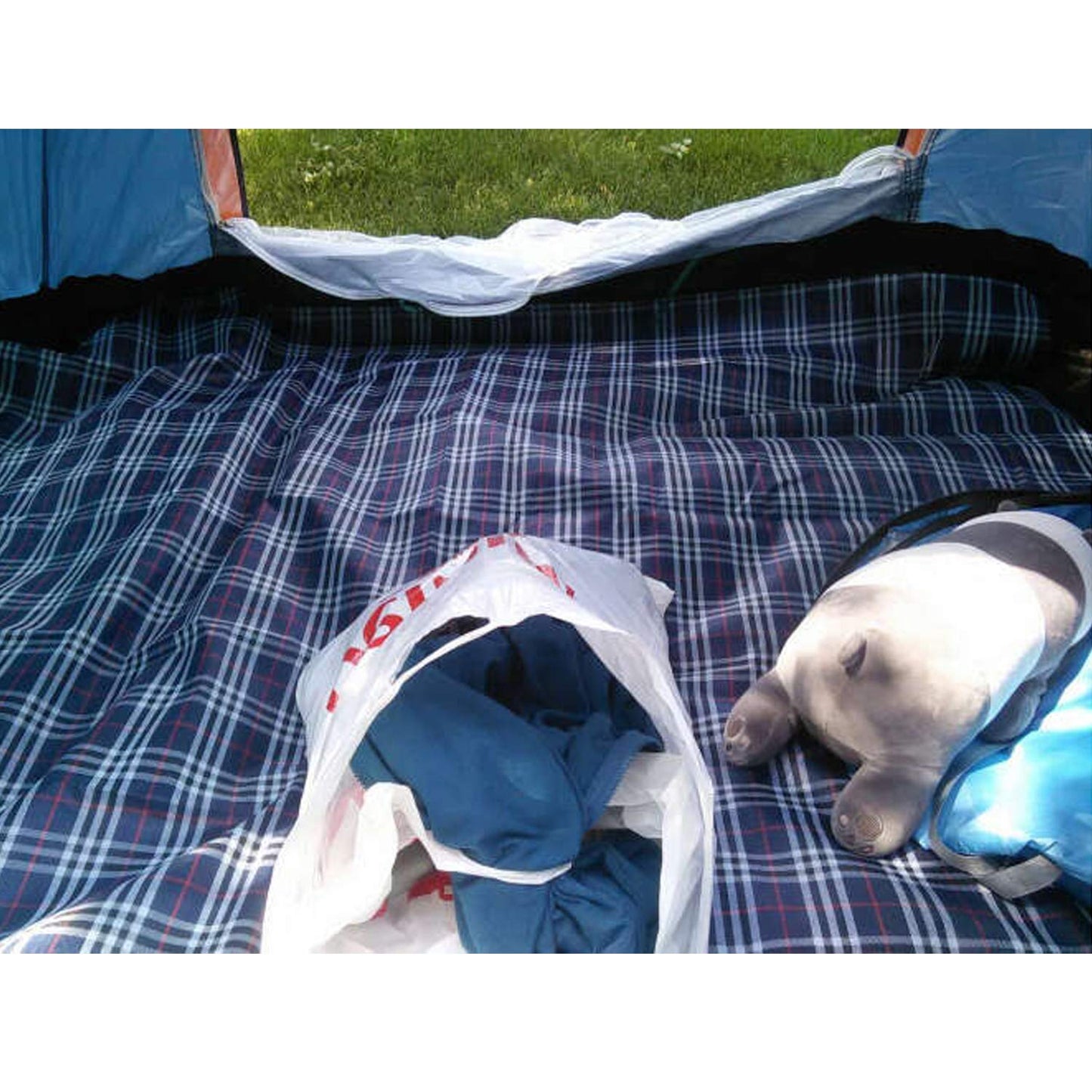 Wind Tour Waterproof Picnic Blanket with Carry Strap - Foldable Sandproof Outdoor Mat for Camping, Beach, Park - 59" x 71",Navy Blue(Single Mat)