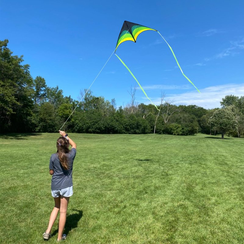 Mint's Colorful Life 3 Pack Delta Kites for Kids & Adults, Extremely Easy to Fly Kite, Best Kite for Beginner(Green & Rainbow & Blue)