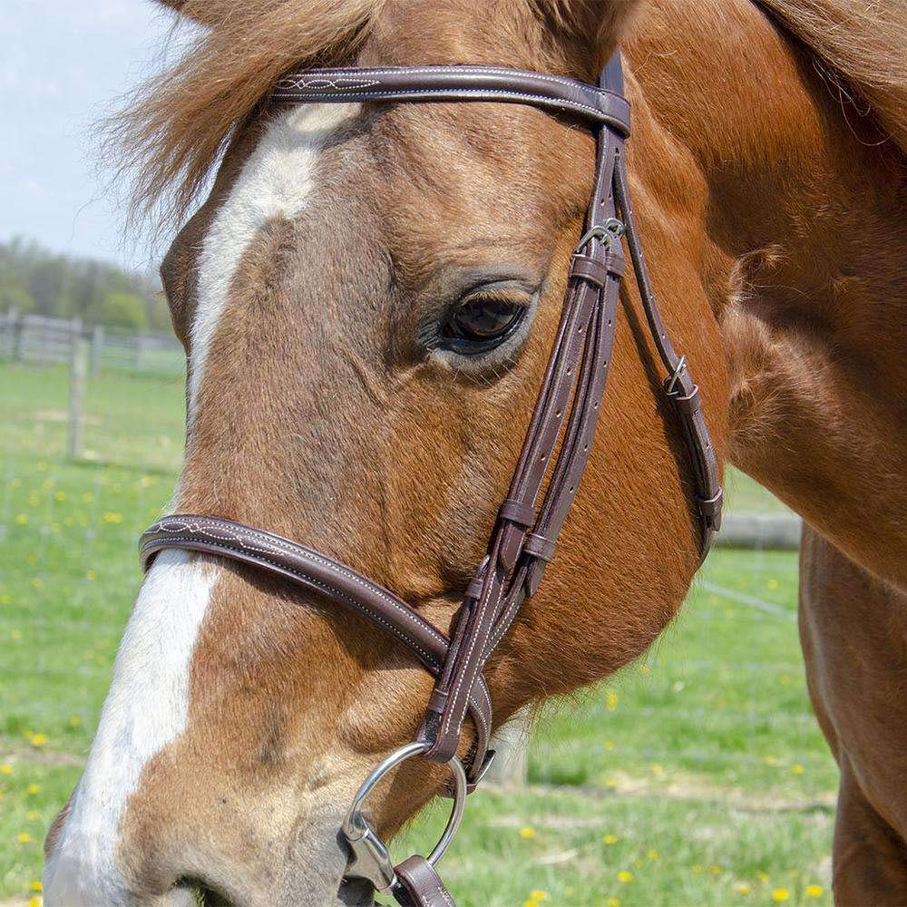 Paris Tack Everyday Raised Fancy Stitched Leather English Schooling Bridle with Laced Reins
