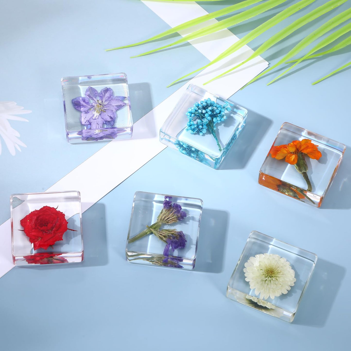 6Pcs Pressed Flower Paper Weights, Real Flower Resin Crafts, Pattern Weights, Paper Weights Decorative,Pressed Flower Ornament,Paper Weights for Office Desk,Specimen Collection for Science Educational