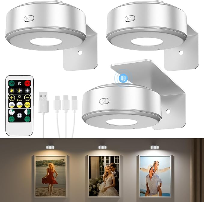 3PCS Picture Lights,3 Colors Paintings Light Rechargeable Battery Wall Light Dimmable and Timer Metal Art Light for Paintings,Display, Wall, Artwork, Gallery (Silver)