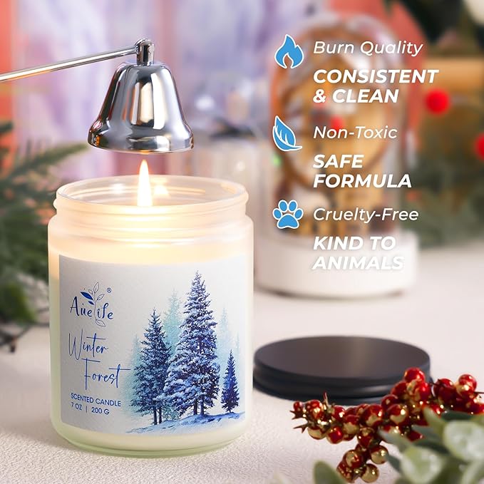 Winter Forest Candle | Pine Cedarwood Scented Soy Candles - Fresh Evergreen Aromatherapy Candles for Home, Holiday Candle Gift for Women & Men, Winter Christmas Home Décor