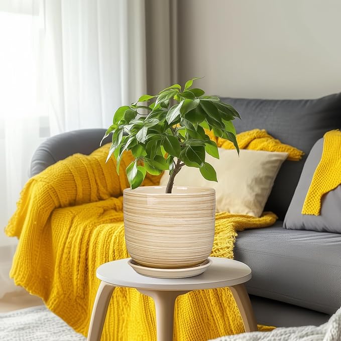 Indoor Plant Pot 8 Inch - Cylinder Modern Ceramic Planter for Indoor Outdoor Plants with Drainage Hole and Saucer, House Office Home Room Desk Decor, Yellow