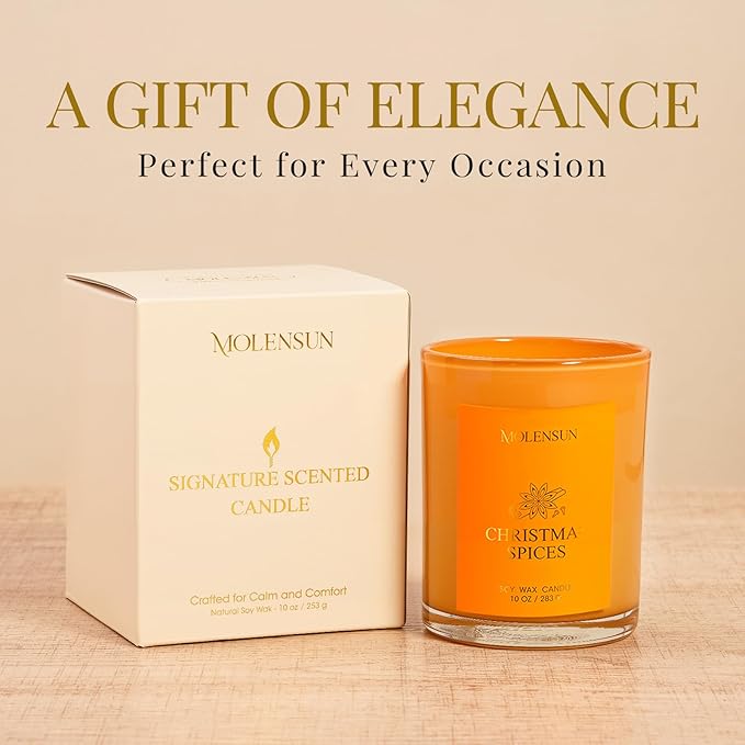 Christmas Spices Candle, 10oz Soy Scented Candle for Home, Christmas Birthday & Holiday Gifts for Women & Men, Long Lasting 50+ Hour Clean Non-Toxic Burn, Elegant Winter & Christmas Home Decor