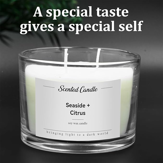 Premium 3-Wick Scented Candle 420g, Jar Aromatherapy Candle Birthday Gifts for Men and Women, Long Lasting 50H, Soy Wax Natural Essential Oil Blend for Home Office Spa (Seaside+Citrus)
