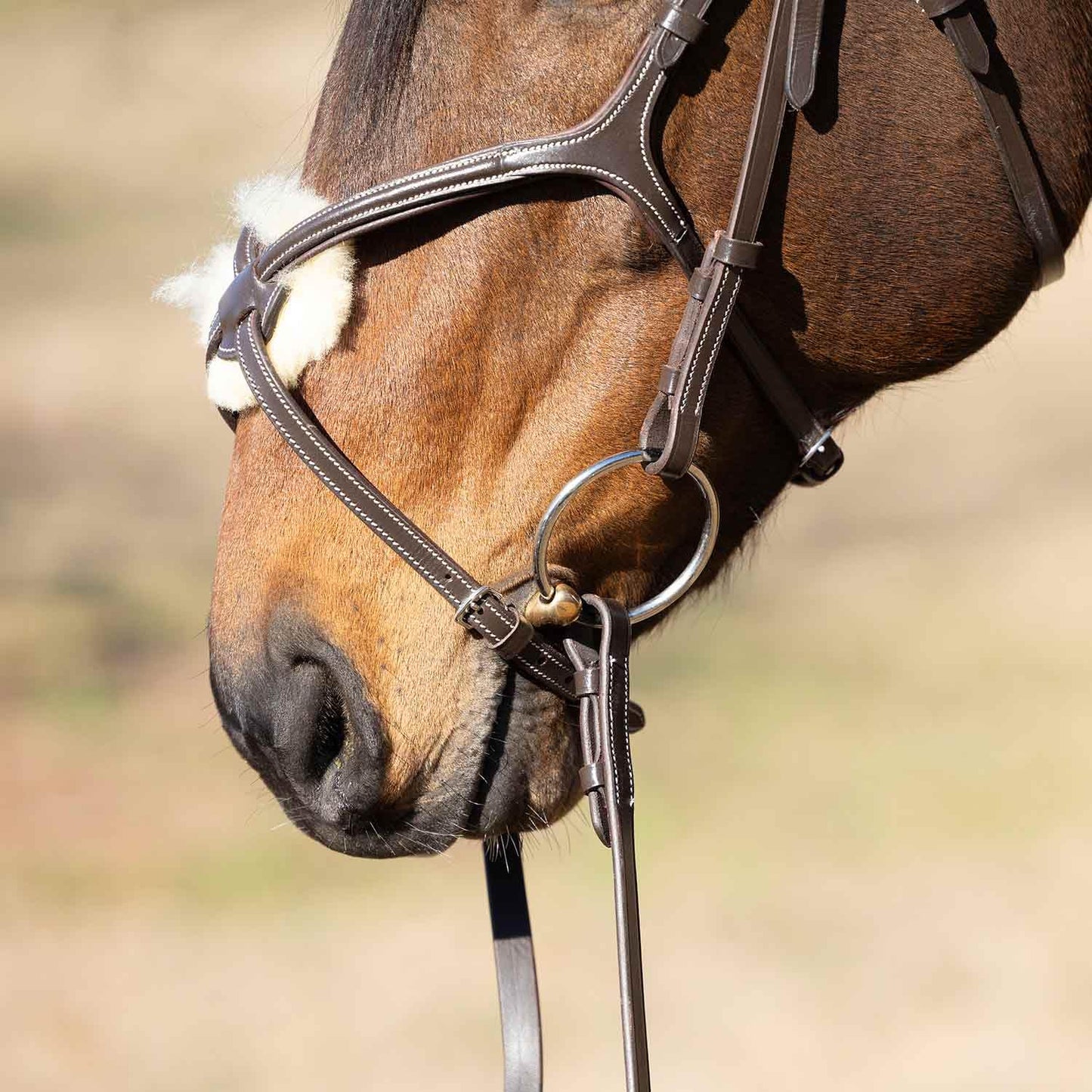 Jeffers Uniquely English Hickstead Figure-8 Leather Bridle for Horses with Web Reins, Cob - Padded Crown, Buckle Bit Ends, Sheepskin Noseband, Adjustable Throatlatch, Dressage, Jumping, Training