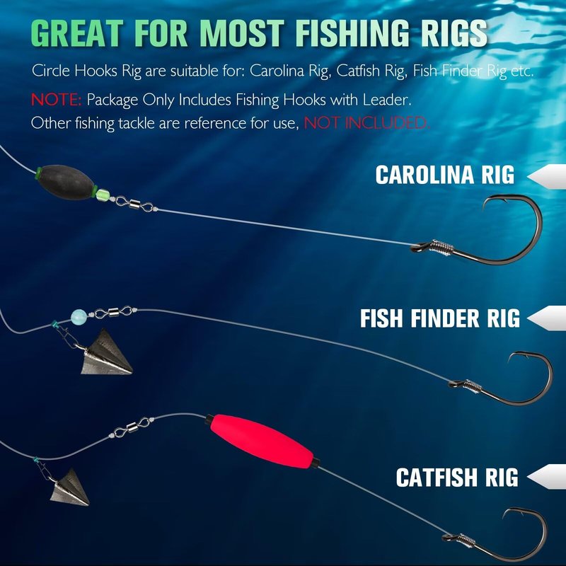 Dovesun 10PCS Circle Hooks Rigs Pre-Rigged Catfish Rig for Saltwater Freshwater Fishing Hooks for Catfish 2/0