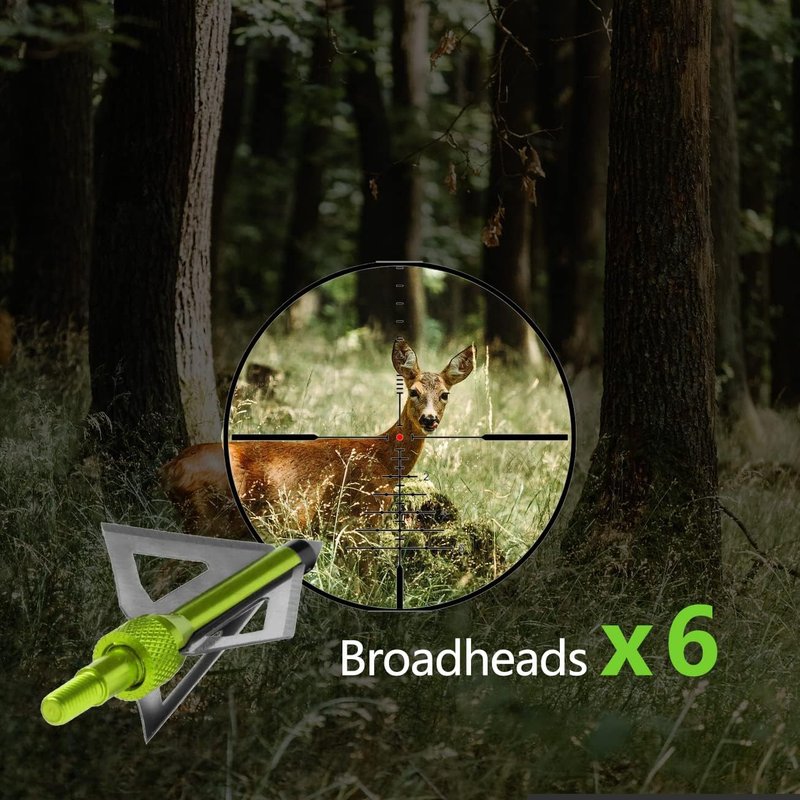 20 Inch Carbon Crossbow Bolts Set - 12 Hunting Arrows with 6 Broadheads for Archery Practice | Durable Carbon Material