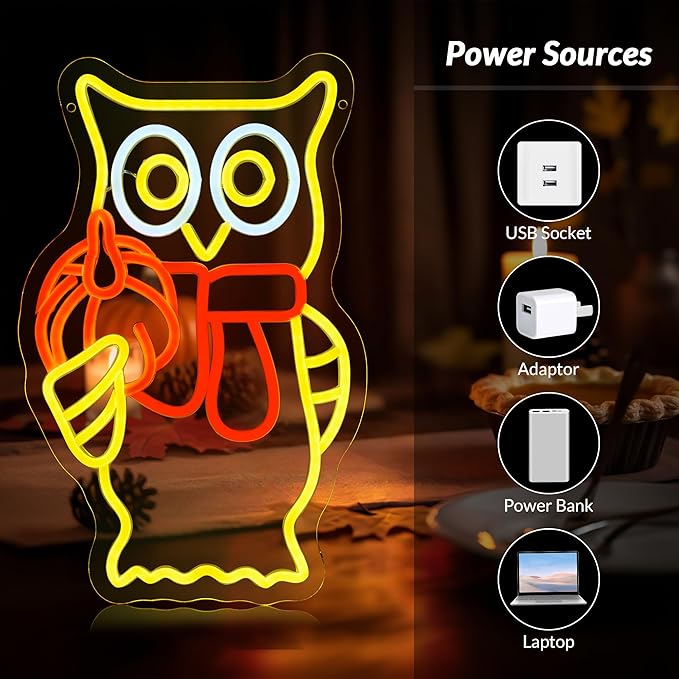 Hanna Roberts Owl Pumpkin Halloween Neon Sign for Window decor and Wall Decor, Brightness adjustable Pumpkin Led Light Up Signs for Children's Room, Bedroom, Bar,15"x8.66"