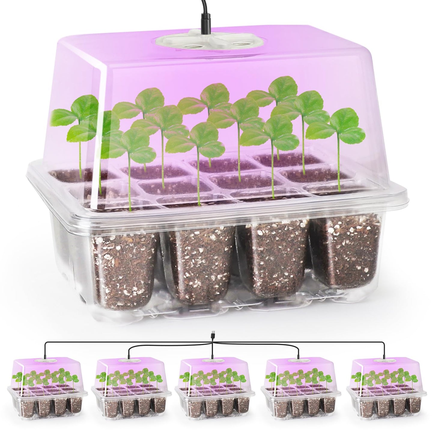 Bonviee 5 Packs Seed Starter Tray with Grow Light, Elevated Seedling Starter Trays Kits with Adjustable Humidity Domes and Clear Cell Tray, 12 Full Spectrum led lamp Beads for Plants Indoor-Clear