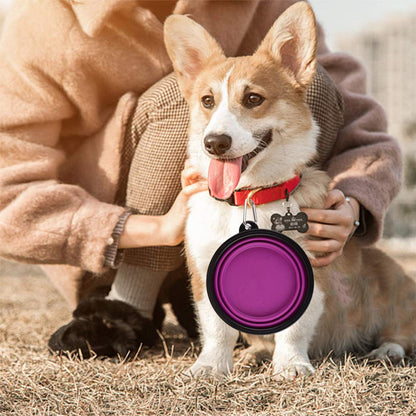 Large Collapsible Dog Bowls, 34oz Travel Water Food Bowls Portable Foldable Collapse Dishes with Carabiner Clip, 2 Pack (Purple+Red)