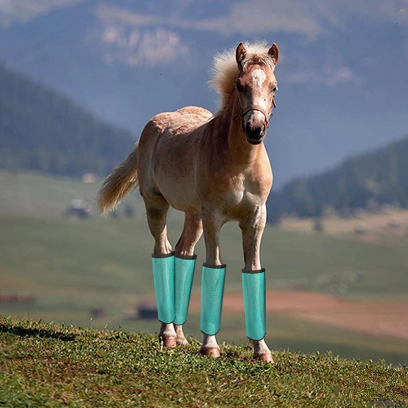 NizHome Horse Fly Boots, Fly Boots for Horses Set of 8, Breathable Mesh Horse Leggings Reduce Stomping & Foot Fatique Pet Supplies (8 Pack,Orange & Mint)
