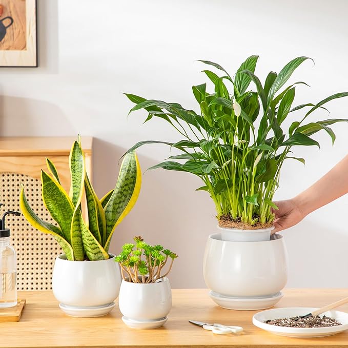 vancasso 3-Pack Ceramic Plant Pots, 3.7/4.8/6.2 Inch Indoor Planters with Saucers & Drainage Hole Planter pots for Indoor Plants and Flower, White