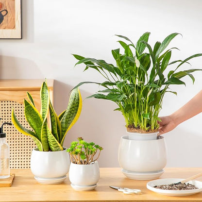 vancasso 3-Pack Ceramic Plant Pots, 3.7/4.8/6.2 Inch Indoor Planters with Saucers & Drainage Hole Planter pots for Indoor Plants and Flower, White