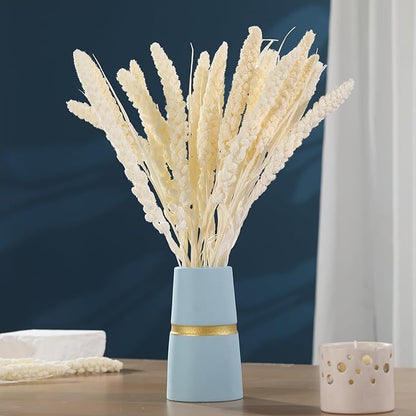 Dried Flowers Bouquet, Dry Flower Bundle, 20Pcs Natural Real Millet Flowers with Stems, Dried Floral Arrangements for Wedding Decor, Door Wreath, Home Party Vase Farmhouse Decoration (White, 17'')