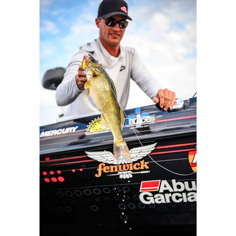Berkley Flicker Shad Shallow Fishing Lure, Blue Tiger, 2/7 oz, 2 3/4in | 7cm Crankbaits, Size, Profile and Dive Depth Imitates Real Shad, Equipped with Fusion19 Hook