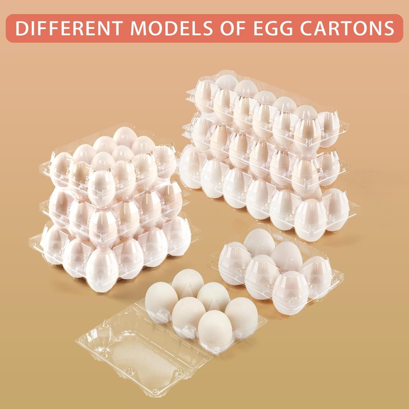 YIFIHGE 60 Pack Egg Cartons Cheap Bulk 1 Dozen Jumbo Egg Cartons Extra Large Duck Egg Holders with Sticker Labels Clear Empty Plastic Egg Containers for Home Ranch Farm Commercial Market Display